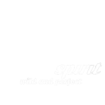ALPHA-SPIRIT-