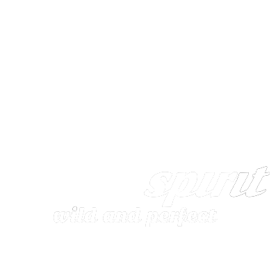 ALPHA-SPIRIT-