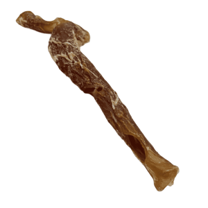 Aorta de ternera deshidratada