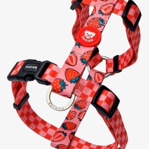 Dukier Arnés Clásico Berry Love