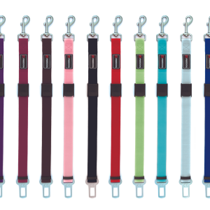 Freegod Cinturón de seguridad