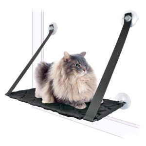 Nayeco Hamaca con ventosas para gato