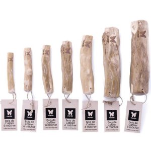 Mordedor de madera de árbol de café