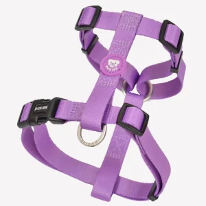 Dukier Arnés Clásico Purple