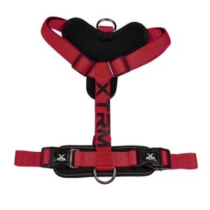 Arnés X-TRM Cronos Rojo