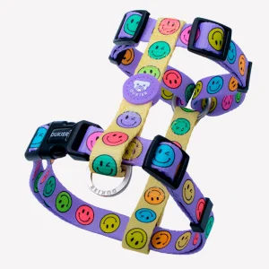 Dukier Arnés Clásico Smiley